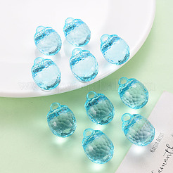 Осенняя тема прозрачные акриловые подвески&nbsp;LS-TACR-T024-04B-946