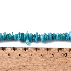 Нити бусин из натуральных пресноводных ракушек BSHE-I016-01A