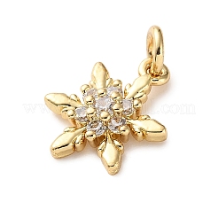 Латунные микро проложить кубического циркония подвески&nbsp;LS-KK-I383-05G-06