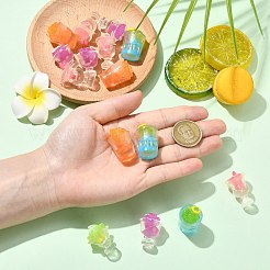 30 шт. 5 стиля декора из смолы&nbsp;DJEW-CJ0001-15