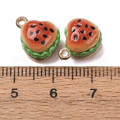 Legierung Emaille Anhänger / charms&nbsp;FIND-H069-02G