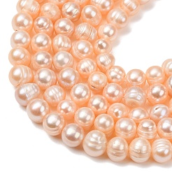 Fili di perle di perle d'acqua dolce coltivate naturali&nbsp;PA-CBABE82-16