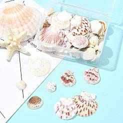 233 г BSHE-FS0001-11