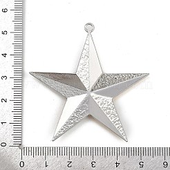 Большие подвески из нержавеющей стали 304&nbsp;STAS-L302-13GP