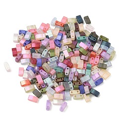 ガラス 2穴 ベーキングペイント ガラスシードビーズ  長方形  ミックスカラー  5x2.5x2mm  穴：0.8mm  約200個/袋&nbsp;GLAA-G130-01F