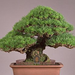 Аксессуары для строительства кукольного домика из смолы DJEW-GF0001-54