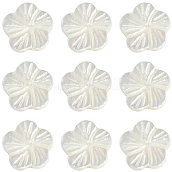 30 шт. натуральные пресноводные бусины из ракушек SHEL-CJ0001-30