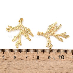 Латунные подвески&nbsp;KK-L255-01G-02