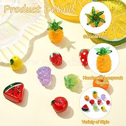 9шт 9 стиля ручной работы бусины лэмпворк&nbsp;LAMP-CJ0002-33