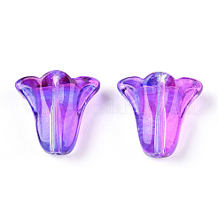 Спрей окрашены прозрачные стеклянные бусины&nbsp;GLAA-D006-20B