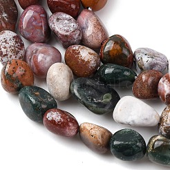 Natur Ozean Jaspis Perlen Stränge&nbsp;X-G-E483-39B