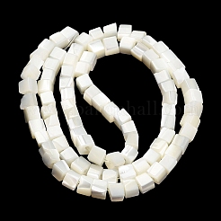 Natürliche Trochidschale / Trochusschalenperlenstränge&nbsp;SHEL-C010-05B