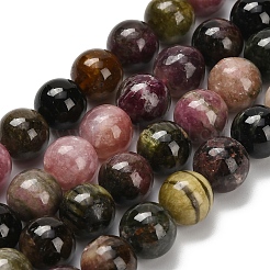 Натуральные разноцветные бусины турмалина G-C259-B05-10mm