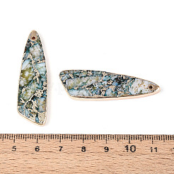 Кулоны из крашеного натурального регалита / императорской яшмы / морской яшмы&nbsp;G-T143-25B