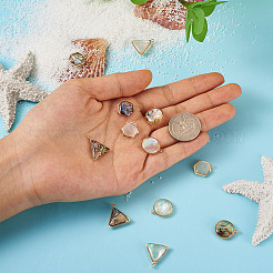 12шт. 6 комплекта подвесок из натуральных ракушек SHEL-CD0001-03