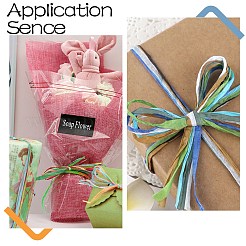 Лента из натуральной рафии OCOR-CJ0004-02B