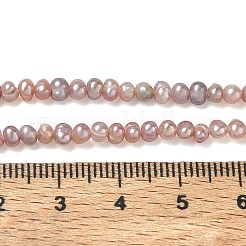 天然養殖淡水パールビーズ連売り  グレード2a++  ポテト  アザミ  3~3.5mm  穴：0.5mm  約124~125個/連  13.78''（35センチメートル）&nbsp;PA-CBAC463-21