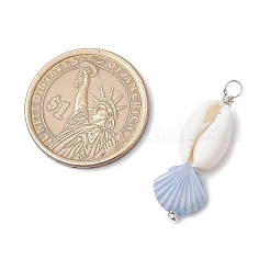 Подвески в форме натуральной ракушки каури и пластиковой ракушки&nbsp;PALLOY-JF03795