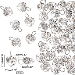40 pièces pendentifs en alliage de style tibétain&nbsp;FIND-PH0002-60