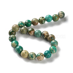 Нити бусин из окрашенного натурального регалита/императорской яшмы/морского осадка яшмы&nbsp;X-G-B124-C01-10