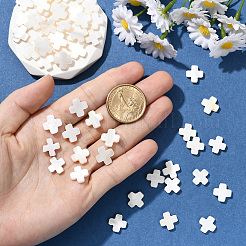 60 шт. натуральные пресноводные бусины из ракушек SSHEL-SC0001-39