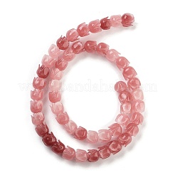 Fili di perline corallo sintetico &nbsp;CORA-B001-05A-02