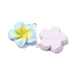 Подвески из непрозрачной смолы&nbsp;FIND-Z107-03P