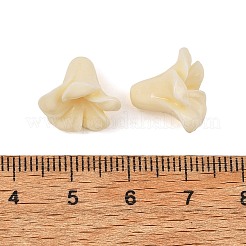 Perles de corail synthétiques teintes&nbsp;X-GG-H001-01A-01