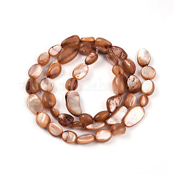 Нити бусин из натуральной белой ракушки&nbsp;SHEL-N036-21E