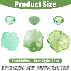 60шт 6 стиля прозрачные стеклянные бусины&nbsp;GLAA-YW0005-58