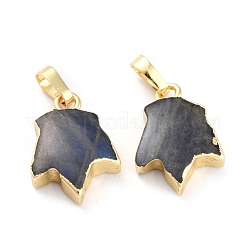 Природные подвески лабрадорита&nbsp;G-B012-11G-02