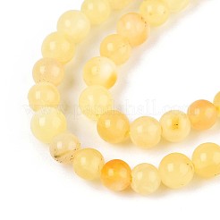 Нити бусин из натурального желтого янтаря G-N351-04A-01