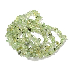 Chapelets de perles en préhnite naturelle&nbsp;X-G-P332-41A