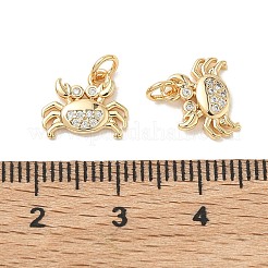 Pendentifs en laiton Shegrace sertis de micro-pavés de zircone cubique&nbsp;XGRQ3D017-456G