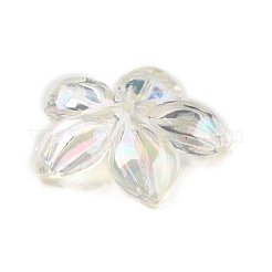 Uv акриловые покрытия бусины OACR-K005-18