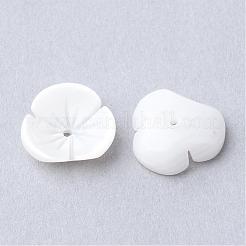 Бусины из натуральных морских раковин SSHEL-S250-20