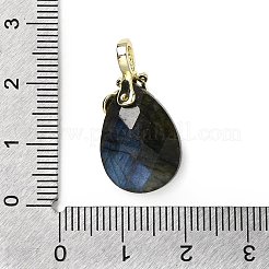 Подвески из натурального лабрадорита с огранкой в виде капли&nbsp;KK-D021-03F-G