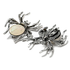 Spilla a forma di ragno con conchiglia tinta in pavé di lega di articoli a duplice uso&nbsp;JEWB-C026-04E-AS