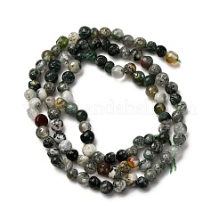 Природные моховой агат бисер нитей G-I389-A40