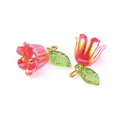 Подвески из непрозрачной смолы&nbsp;LS-CRES-CJC0009-05G-08