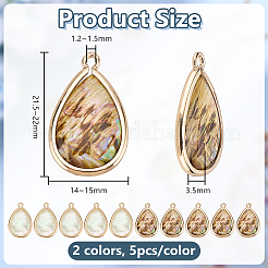 10 шт. подвески в форме слезы из натуральной латуни с паве из ракушек пауа двух цветов DIY-AR0004-79
