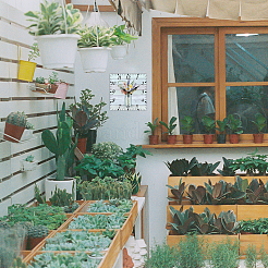 Настенные часы с принтом из мдф HJEW-WH0059-003