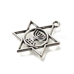 Сплавочные подвески тибетского стиля&nbsp;FIND-G078-14AS