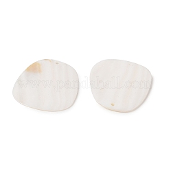 Природные Подвеска оболочки BSHE-H018-17