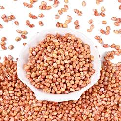 Perlas de vidrio de Picasso&nbsp;SEED-N012-10C