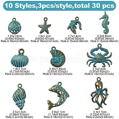 30шт 10 стиля подвески из сплава в тибетском стиле&nbsp;FIND-YW0007-08