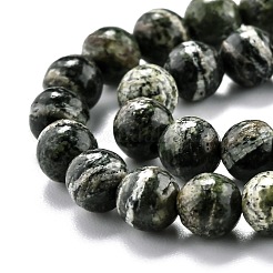 Натуральный зеленый зебра яшма бисер прядь G-O199-05A