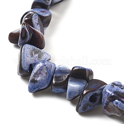 Окрашенные нити натуральных бусин-ракушек трохуса BSHE-Z006-01C