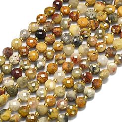 Природные сумасшедший агат бисер нитей&nbsp;G-K389-B71-01