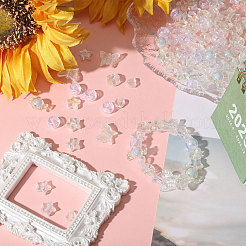 1640шт 6 стиля акриловые бусины&nbsp;TACR-CA0001-32